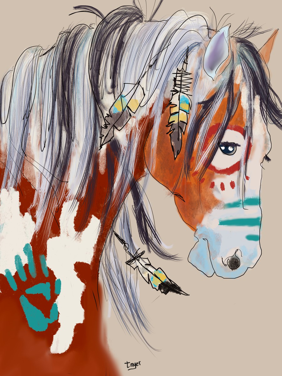 Make America Native Again — digital artwork by Tom Myer