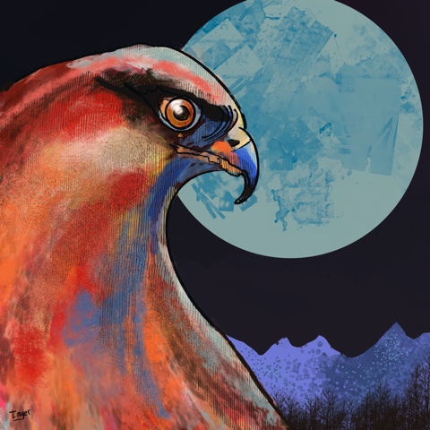 Night Hawk — digital artwork by Tom Myer